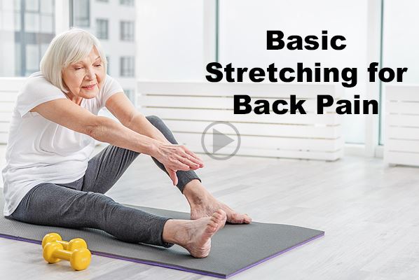 Basic Stretching for Back Pain play video link