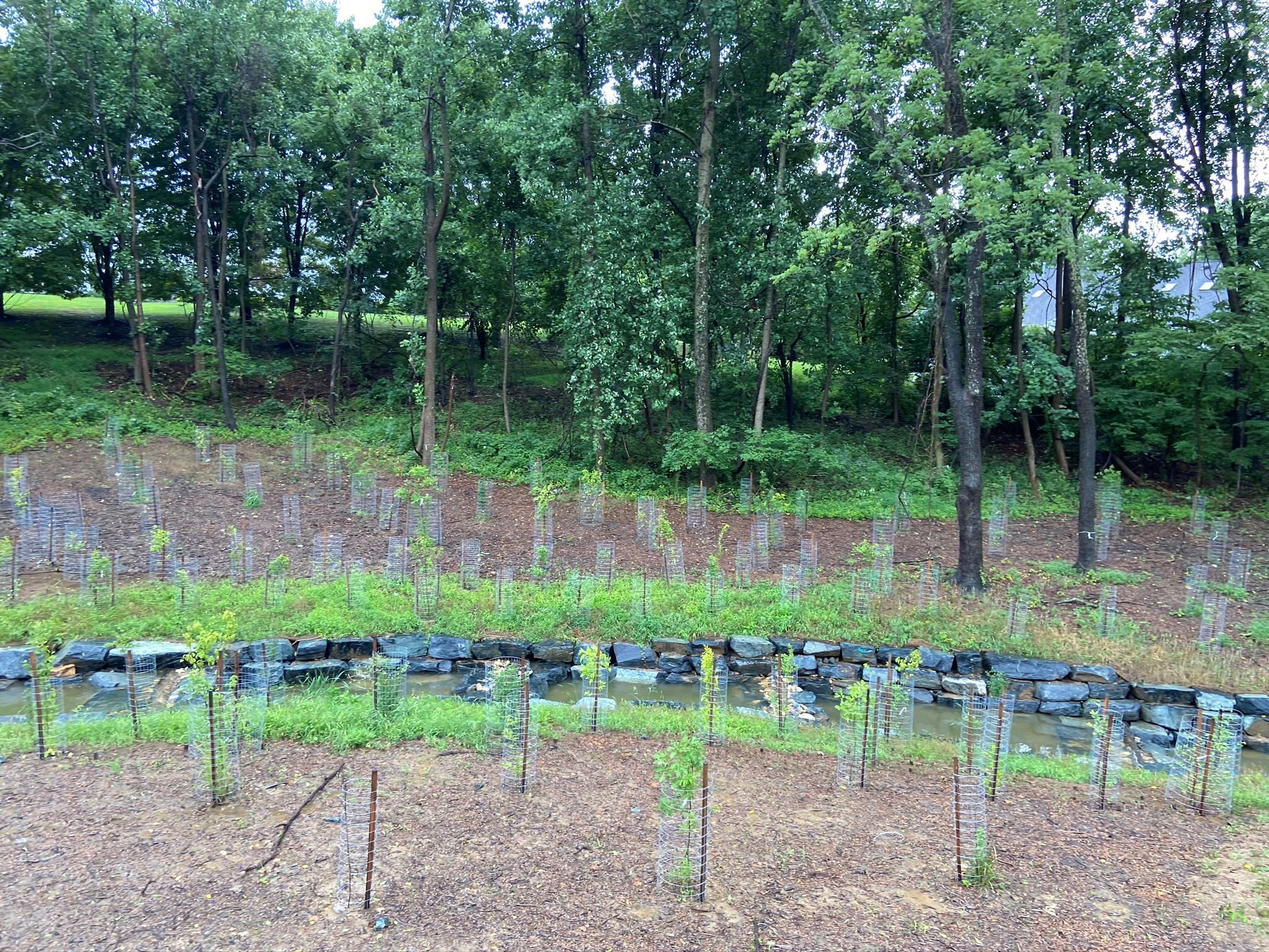 40cd3434-a495-45df-b143-184cdf0d4c33