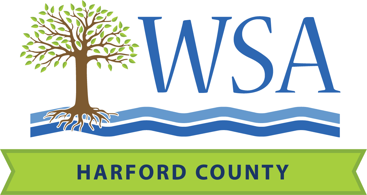 WSA LOGO-No Background