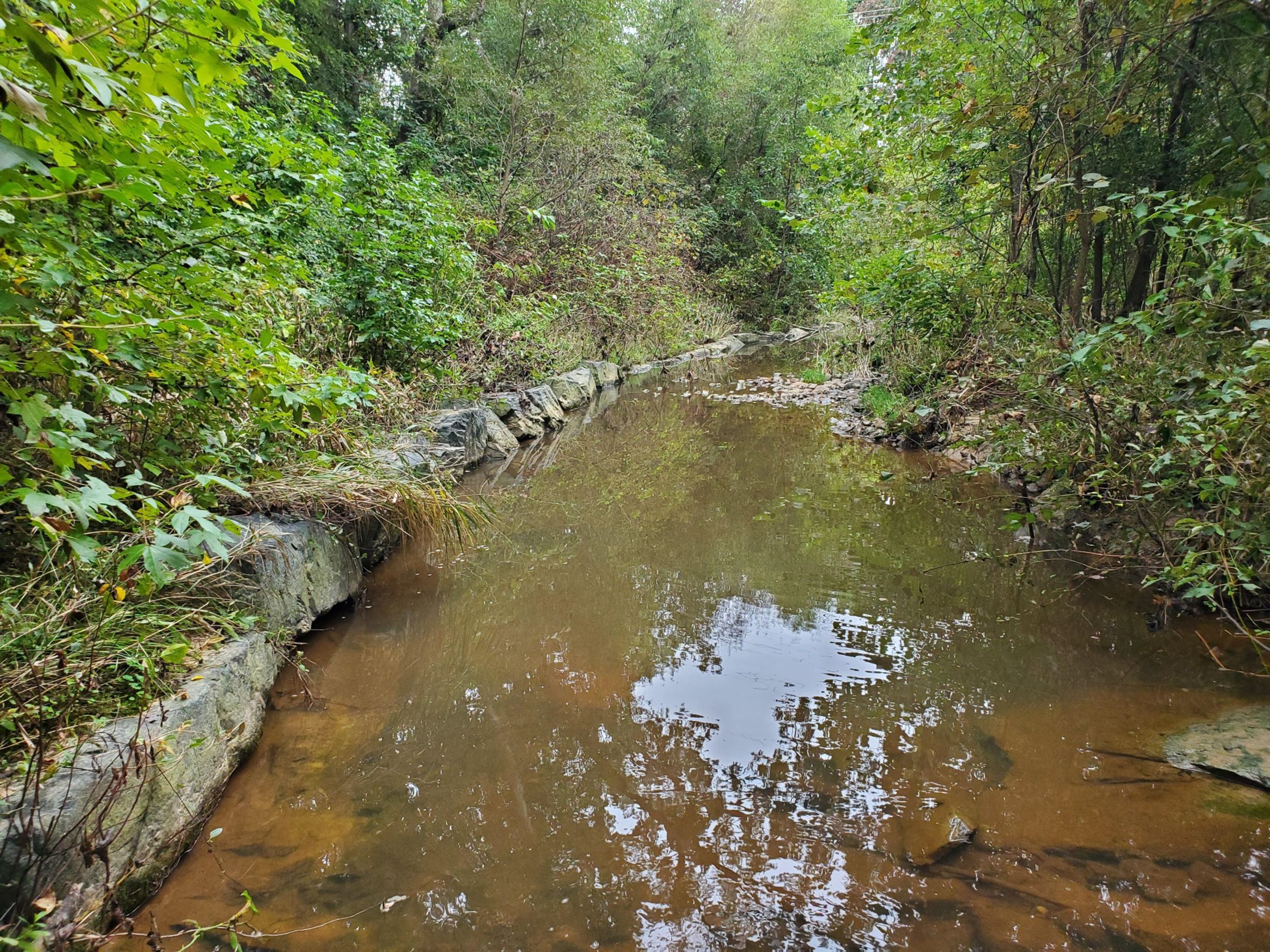 Foster Branch Trimble UPD