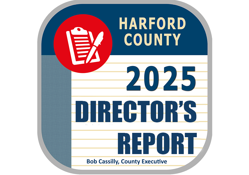 PS BUTTON DIRECTORS REPORT