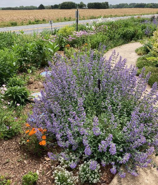 SpringSeasonActionPage_After