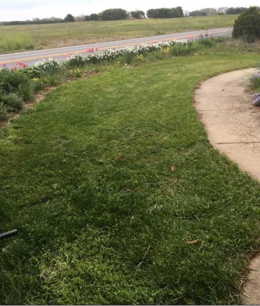 SpringSeasonActionPage_Before