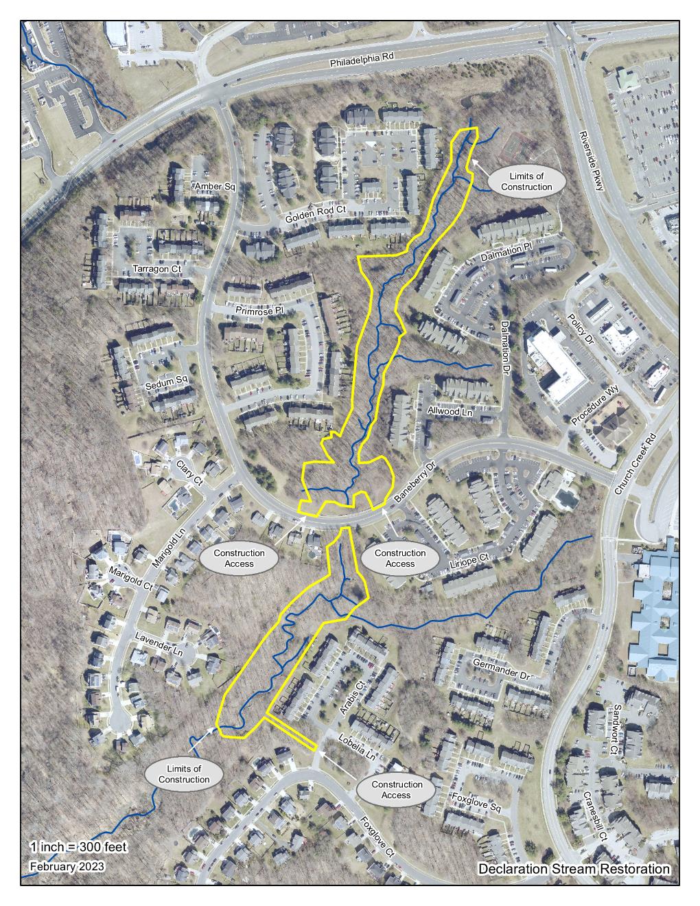 Declaration Access Opens in new window