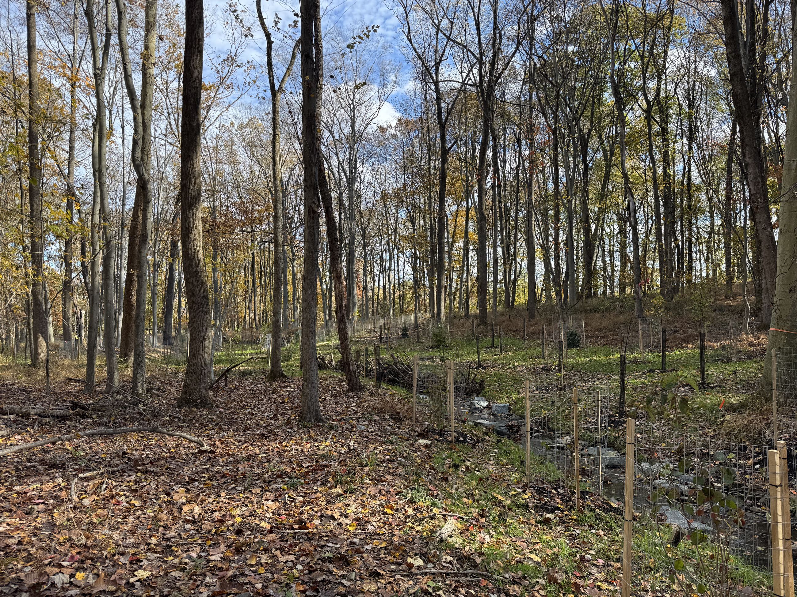 20251031_143302527_iOS